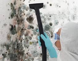 Best Biohazard Mold Removal  in White Mountain Lake, AZ